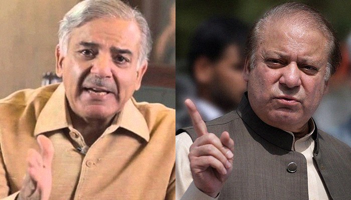 Nawaz ignores question on Shehbaz's support 