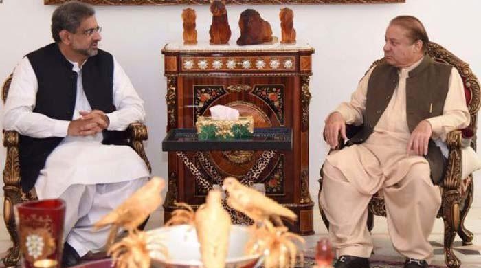 PM Abbasi calls on Nawaz after NSC meeting