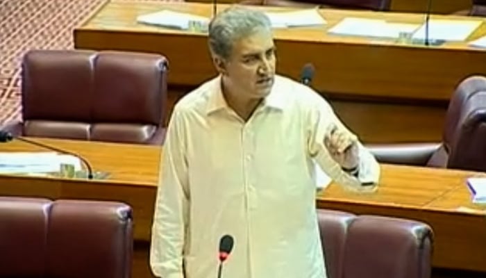 Pakistan Tehreek-e Insaf leader Shah Mehmood Qureshi
