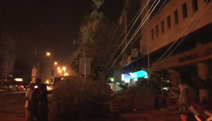 Dozens of trees on Karachi's Abdullah Haroon road cut down