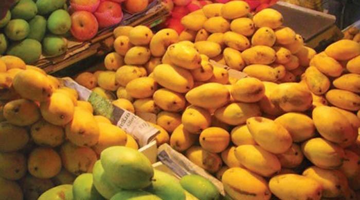 Get ready for mango season
