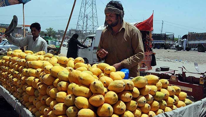 Mango season is here and Pakistanis can’t contain their excitement