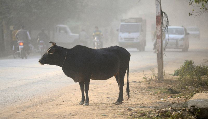 Muslim beaten to death in India for allegedly killing cow