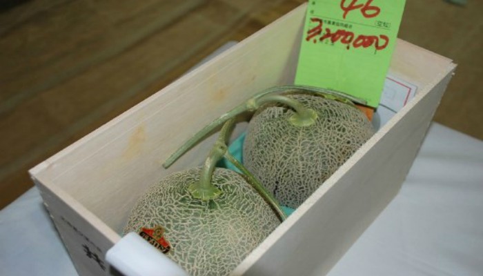 Pair of Japanese premium melons sell for record $29,300