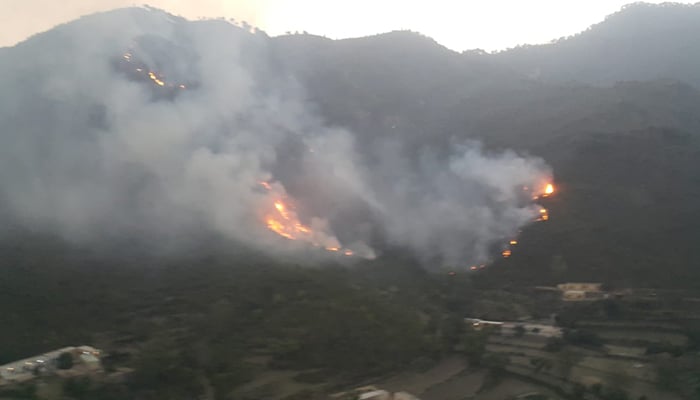 Army Aviation, PAF helicopters engaged in dousing Margalla Hills fire