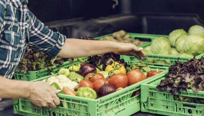 Global warming will make veggies harder to find: study