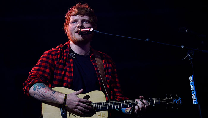 Feline friends: Ed Sheeran waxwork unveiled at cat cafe