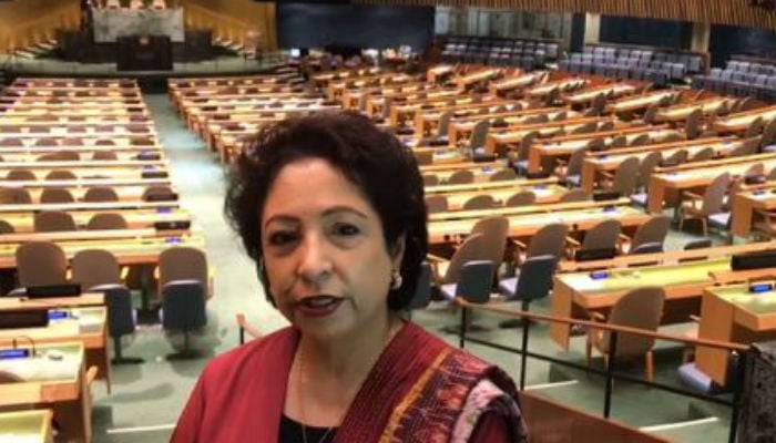 Pakistan's election to ECOSOC vote of confidence from global community: Lodhi