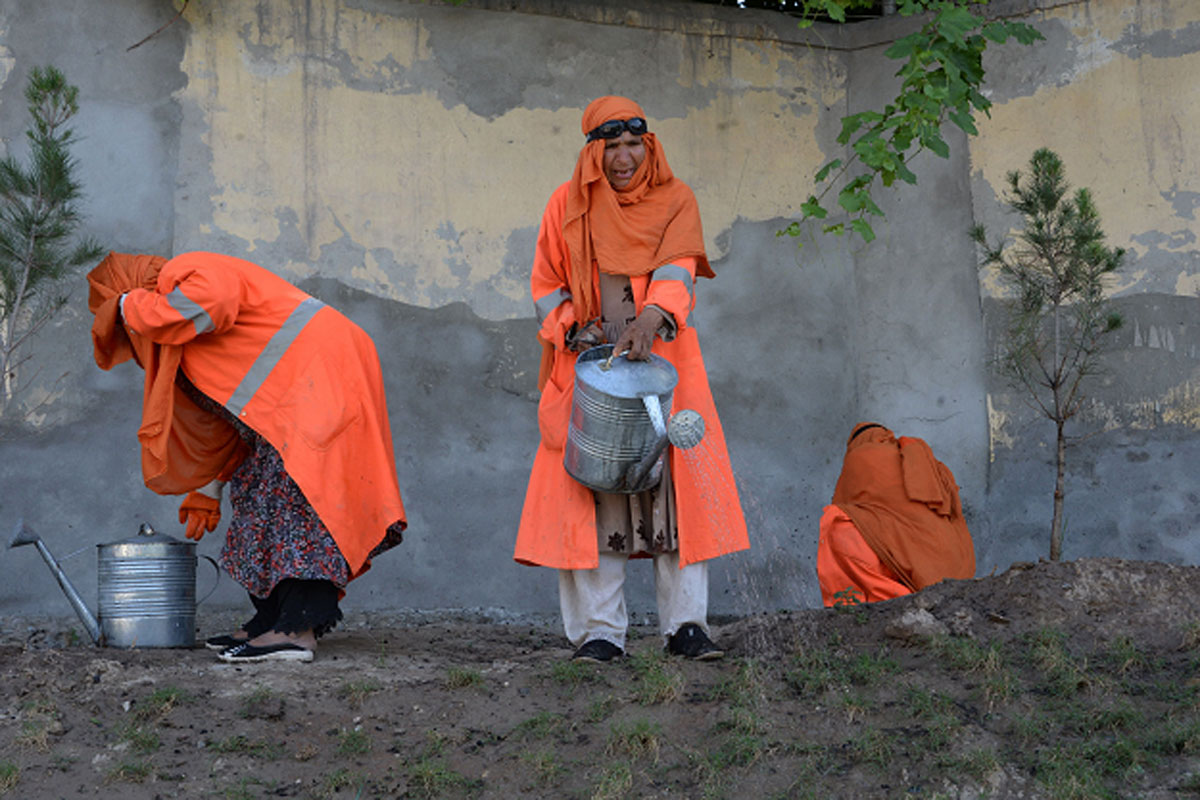 How Afghanistan’s urban gardens are changing women’s lives