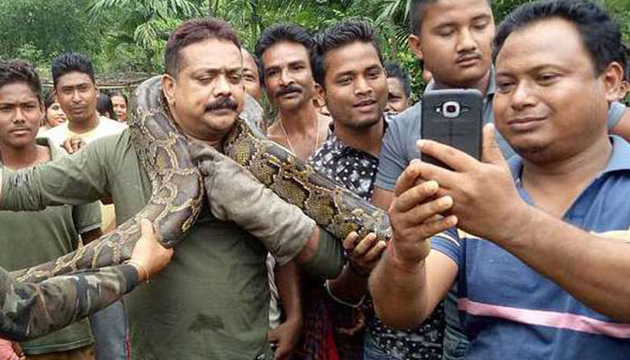 Python chokes man as he poses for selfie
