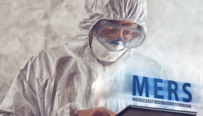 Saudi MERS outbreaks killed 23 over four months: WHO