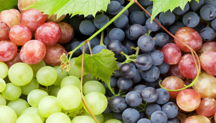 Sweet remedy: Eating grapes may help prevent tooth decay