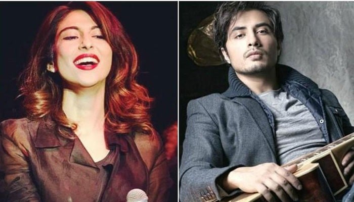I was targeted through an organised plan for personal gains: Ali Zafar