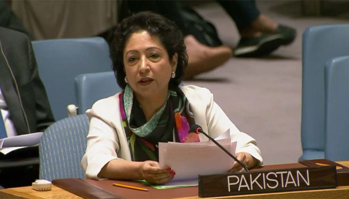 Regional tensions, power politics in Middle East can trigger conflict: Lodhi