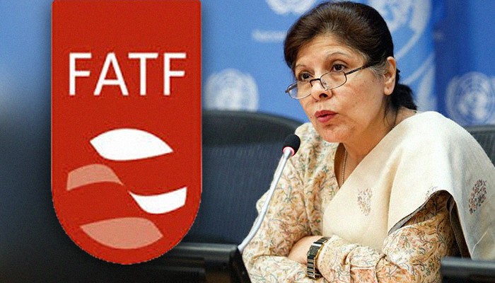 Pakistan can be removed from FATF ‘grey-list’ if adequate measures taken: FO