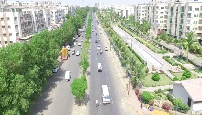 Is Conocarpus the real culprit behind Karachi’s killer heatwaves?