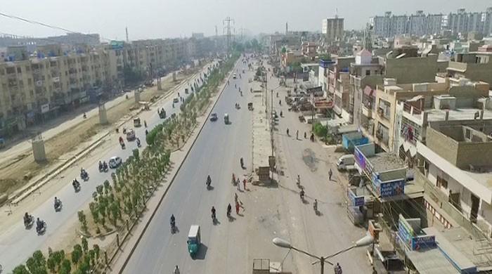 Is Conocarpus the real culprit behind Karachi’s killer heatwaves?