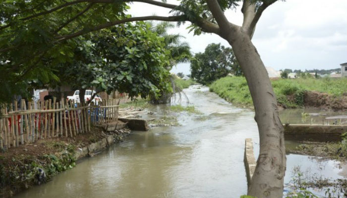 Flooding kills 49 in northern Nigeria