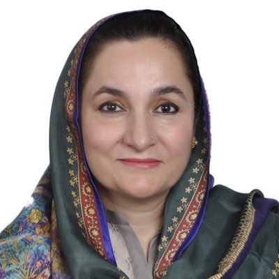 Eight women who made it to NA through direct election