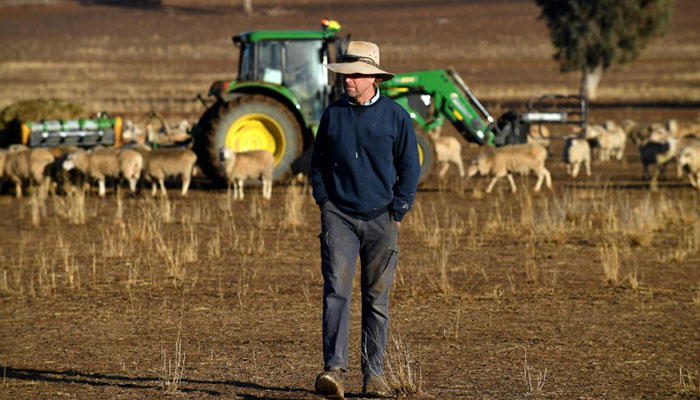 Despair as crippling drought hammers Australian farmers