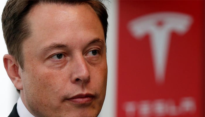 Tesla's Musk divides Wall Street