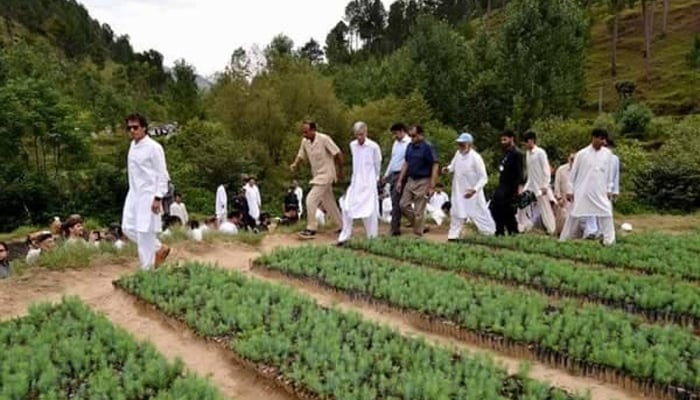 Pti S Incoming Government Pledges To Plant Billions Of Trees File Photo Of Imran Khan Touring A Nursery In Kp Reuters