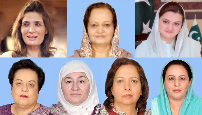 Dozens of women, most related to Pak politicians, ex-statespersons, make it to NA