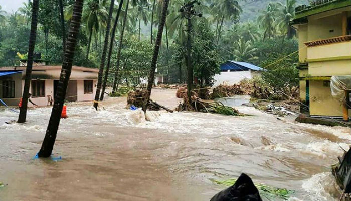 Hero dog saves Indian family in flood-hit Kerala