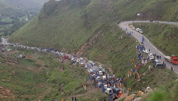 Volunteers plant 150,000 trees in parts of District Buner 