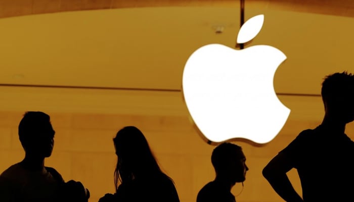 Australian teen sparks FBI action after hacking Apple: media