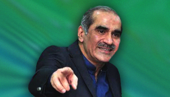 PPP needs time to 'return to the track': Saad Rafique