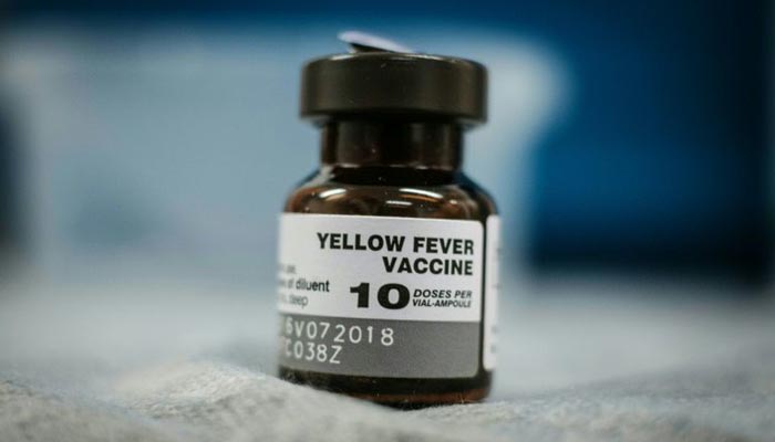 Scientists track how yellow fever raced through Brazil