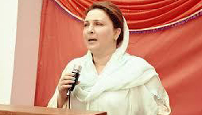 PTI’s Maliha Asghar among richest in KP Assembly 