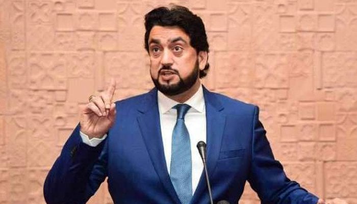 Shehryar Khan Afridi to be appointed minister of state for interior