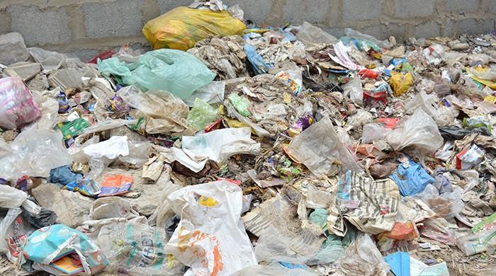 Entangled in plastic