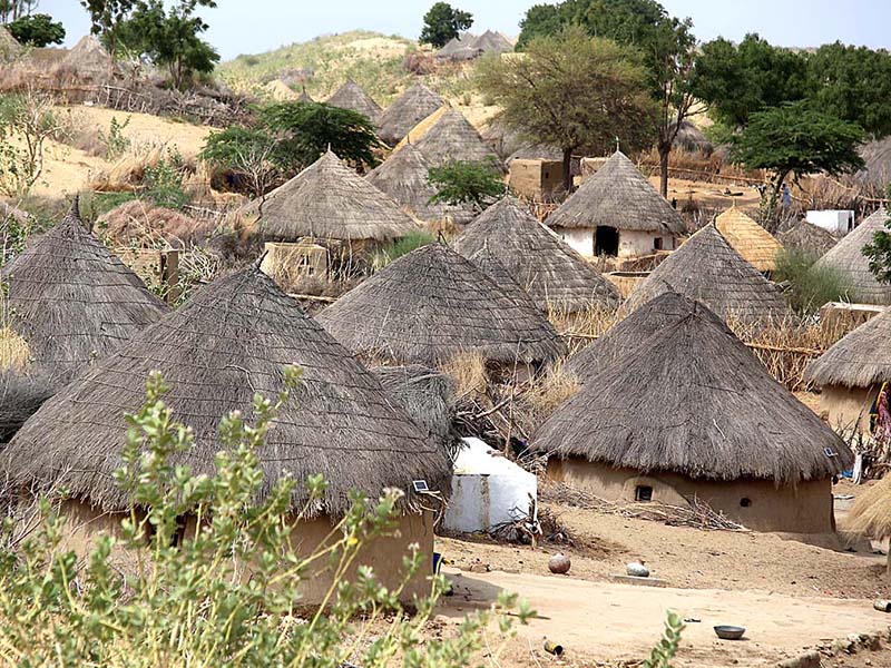 The empty wells and silent villages of Thar