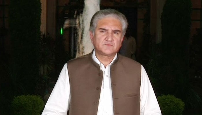 FM Qureshi to visit Afghanistan on Saturday