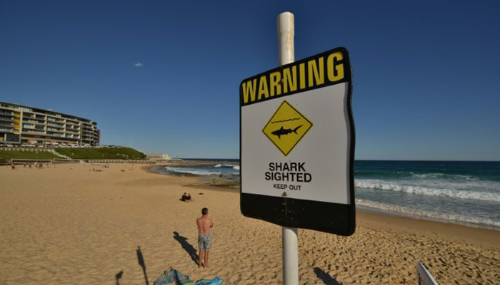 Australian tourist haven suffers twin shark attacks