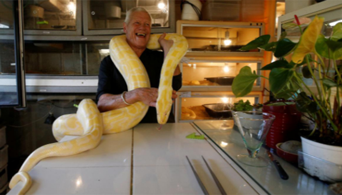 Scaly, scary lodgers: Frenchman shares home with 400 reptiles