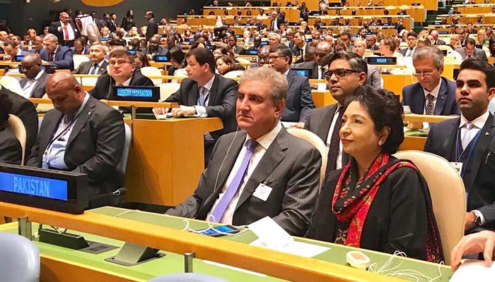 Pakistan wants ties with US based on mutual respect: FM Qureshi