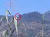 Indian forces fire at helicopter of AJK PM