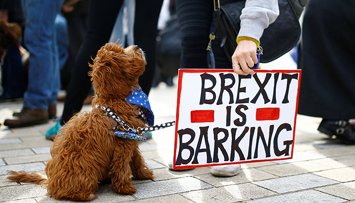 Dogs owners march on UK parliament demanding new Brexit 'Wooferendum'