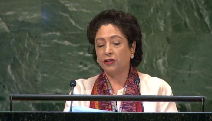 Image result for UN: Pakistan calls for 'concrete' global action to end Kashmiri people's travails