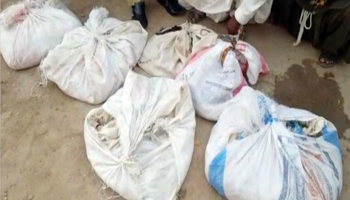 1,100 venomous snakes recovered from car in Badin