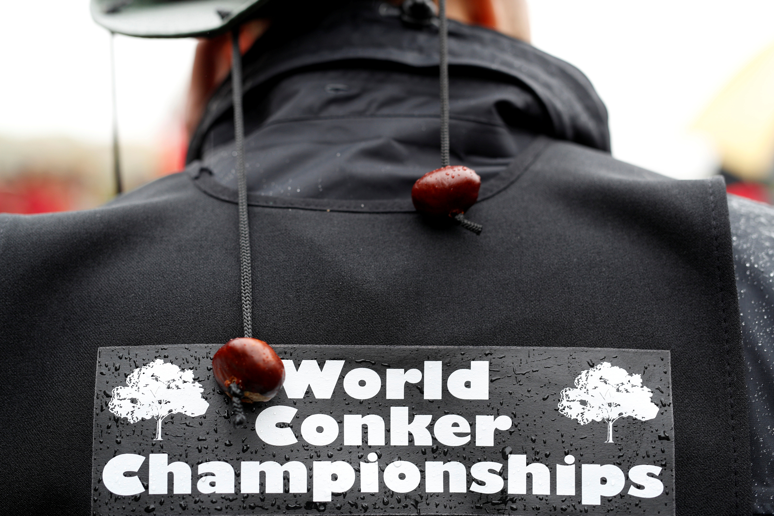 She came, she saw, she conquered, British woman claims conker crown