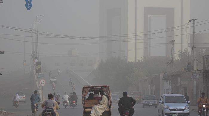 Smog again: Is the government really committed to the environment?