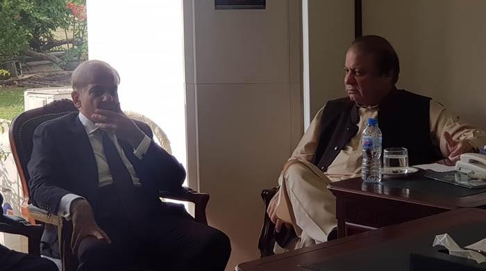 PML-N delegation excluding Nawaz, Shehbaz to attend opposition APC