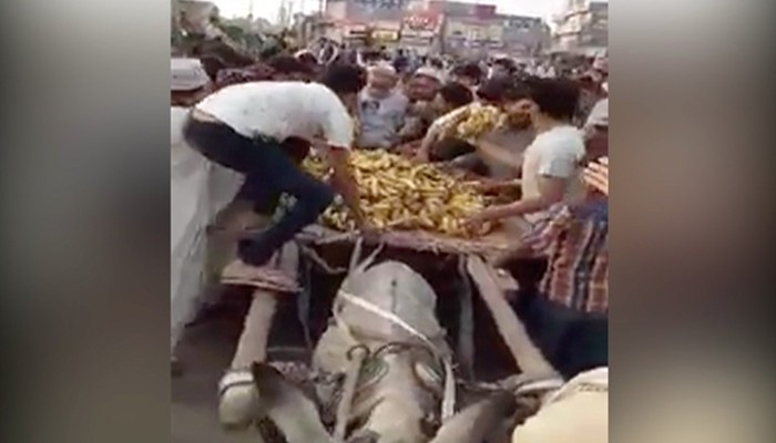 Just wanted to save myself and my donkey, says child fruit vendor robbed by protesters