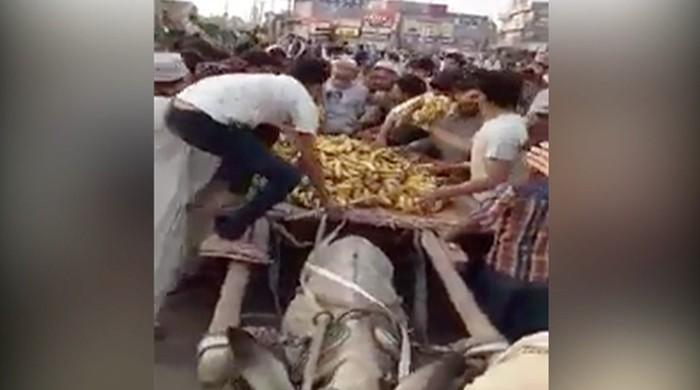 Crowd in Sheikhpura steals bananas from child fruit vendor  Crowd in Sheikhpura steals bananas from child fruit vendor