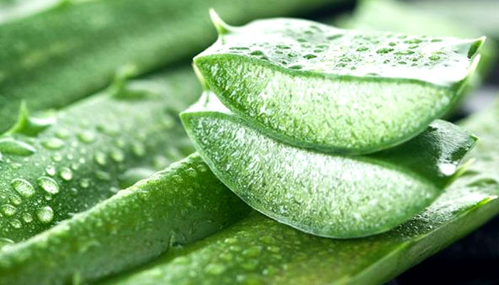 Natural Aloe Vera more effective than artificial toxic creams